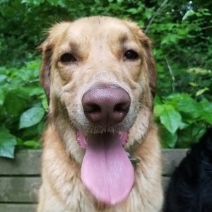 Meet your Posher, Leilani